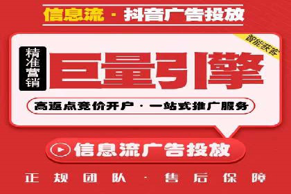 抖音信息流代理在电商行业的应用案例分析